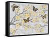 Cherry Blossom Bflies-Diane Stimson-Framed Stretched Canvas