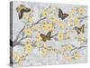 Cherry Blossom Bflies-Diane Stimson-Stretched Canvas