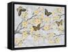 Cherry Blossom Bflies-Diane Stimson-Framed Stretched Canvas