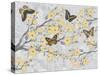 Cherry Blossom Bflies-Diane Stimson-Stretched Canvas