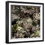 Cherry Blossom Child, 2015-Elinleticia H?gabo-Framed Giclee Print