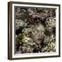 Cherry Blossom Child, 2015-Elinleticia H?gabo-Framed Giclee Print