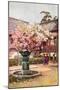 Cherry Blossom, Chion-In Temple-Ella Du Cane-Mounted Giclee Print