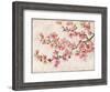Cherry Blossom Composition I-null-Framed Art Print