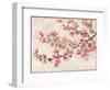 Cherry Blossom Composition I-null-Framed Art Print