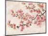 Cherry Blossom Composition I-null-Mounted Art Print