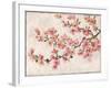 Cherry Blossom Composition I-null-Framed Art Print