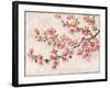 Cherry Blossom Composition I-null-Framed Art Print