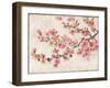 Cherry Blossom Composition I-null-Framed Art Print