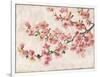 Cherry Blossom Composition I-Tim OToole-Framed Art Print