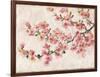 Cherry Blossom Composition I-Tim OToole-Framed Art Print