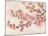 Cherry Blossom Composition I-Tim OToole-Mounted Art Print