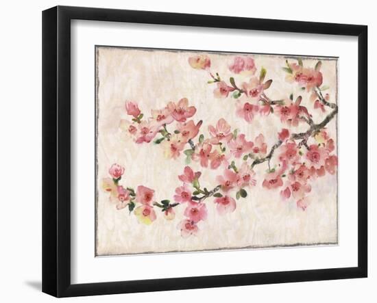 Cherry Blossom Composition I-Tim OToole-Framed Art Print