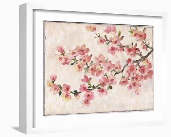 Cherry Blossom Composition I-Tim OToole-Framed Art Print