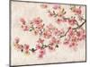 Cherry Blossom Composition I-Tim OToole-Mounted Art Print