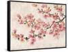 Cherry Blossom Composition I-Tim OToole-Framed Stretched Canvas