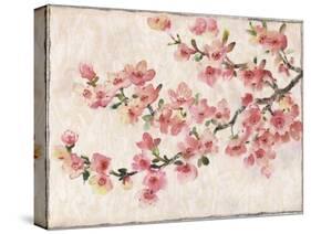 Cherry Blossom Composition I-Tim OToole-Stretched Canvas