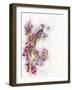 Cherry Blossom Days-The Tangled Peacock-Framed Giclee Print