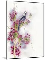 Cherry Blossom Days-The Tangled Peacock-Mounted Giclee Print