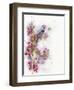 Cherry Blossom Days-The Tangled Peacock-Framed Giclee Print