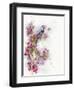 Cherry Blossom Days-The Tangled Peacock-Framed Giclee Print