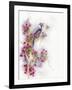 Cherry Blossom Days-The Tangled Peacock-Framed Giclee Print