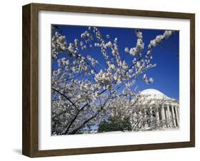 Cherry Blossom Festival and the Jefferson Memorial, Washington DC, USA-Michele Molinari-Framed Photographic Print