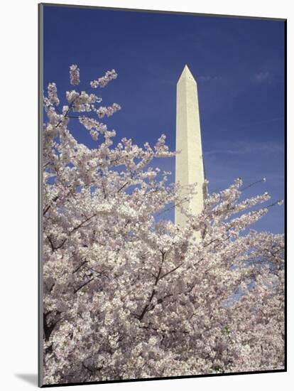 Cherry Blossom Festival and the Washington Monument, Washington DC, USA-Michele Molinari-Mounted Photographic Print