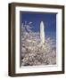 Cherry Blossom Festival and the Washington Monument, Washington DC, USA-Michele Molinari-Framed Photographic Print