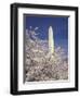 Cherry Blossom Festival and the Washington Monument, Washington DC, USA-Michele Molinari-Framed Photographic Print