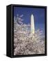 Cherry Blossom Festival and the Washington Monument, Washington DC, USA-Michele Molinari-Framed Stretched Canvas