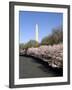Cherry Blossom Festival, Washington DC, USA, District of Columbia-Lee Foster-Framed Photographic Print