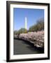 Cherry Blossom Festival, Washington DC, USA, District of Columbia-Lee Foster-Framed Photographic Print