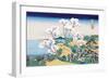 Cherry Blossom Festival-Katsushika Hokusai-Framed Premium Giclee Print