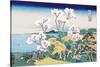 Cherry Blossom Festival-Katsushika Hokusai-Stretched Canvas