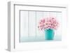 Cherry Blossom Flower Bouquet on Wooden Background-Anna-Mari West-Framed Photographic Print