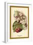 Cherry Blossom Fruit-W.h.j. Boot-Framed Art Print