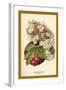 Cherry Blossom Fruit-W.h.j. Boot-Framed Art Print