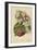 Cherry-Blossom. Fruit-William Henry James Boot-Framed Giclee Print