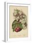 Cherry-Blossom. Fruit-William Henry James Boot-Framed Giclee Print