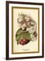 Cherry Blossom Fruit-W.h.j. Boot-Framed Art Print