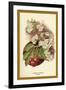 Cherry Blossom Fruit-W.h.j. Boot-Framed Art Print