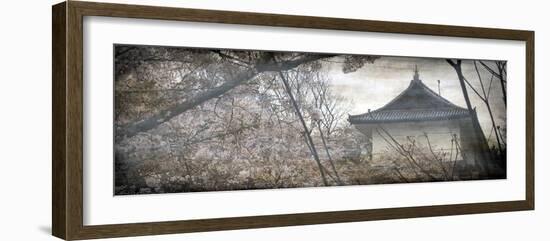 Cherry Blossom Garden-Tony Koukos-Framed Giclee Print