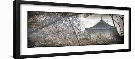 Cherry Blossom Garden-Tony Koukos-Framed Giclee Print