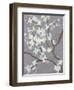 Cherry Blossom Haze II-Grace Popp-Framed Art Print