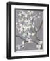 Cherry Blossom Haze II-Grace Popp-Framed Art Print