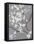 Cherry Blossom Haze II-Grace Popp-Framed Stretched Canvas