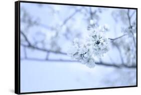 Cherry Blossom Heaven 10-null-Framed Stretched Canvas