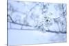 Cherry Blossom Heaven 10-null-Stretched Canvas