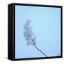 Cherry Blossom Heaven 12-null-Framed Stretched Canvas